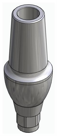 BIONIKA HICON, Anatomic abutment, straight, positioned