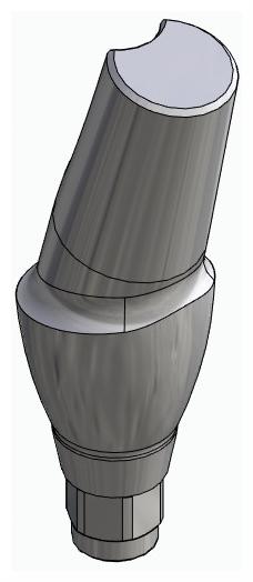 BIONIKA HICON, Anatomic abutment, angled, 15°, positioned, type-A