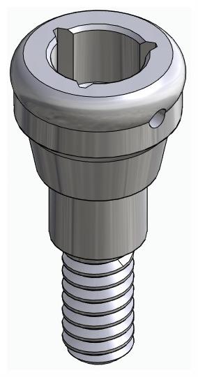 BIONIKA HICON, Locator abutment, straight