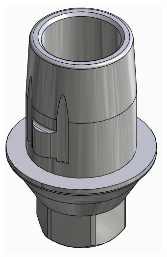 BIONIKA PRIMER, Titanium base, positioned