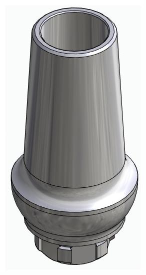 BIONIKA NO, Anatomic abutment, straight, positioned