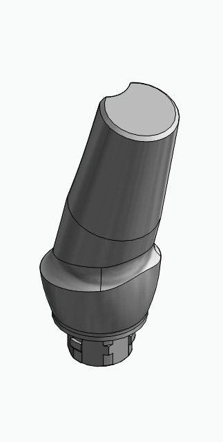 BIONIKA NO, Anatomic abutment, angled, 15°, positioned, type-A