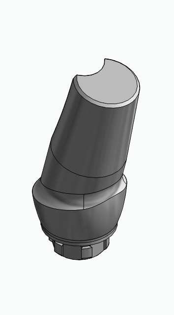 BIONIKA NO, Anatomic abutment, angled, 15°, positioned, type-A