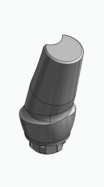 BIONIKA NO, Anatomic abutment, angled, 15°, positioned, type-B