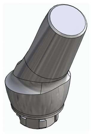 BIONIKA NO, Anatomic abutment, angled, 25°, positioned, type-A