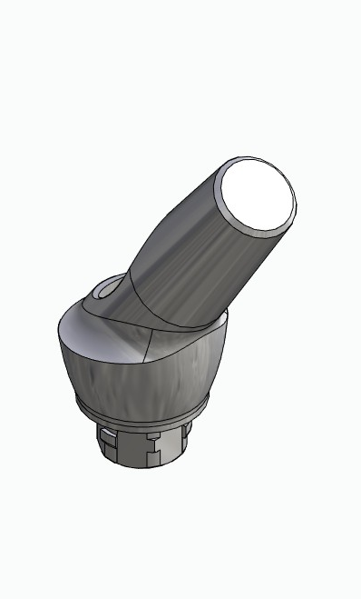 BIONIKA NO, Anatomic abutment, angled, 35°, positioned, type-A