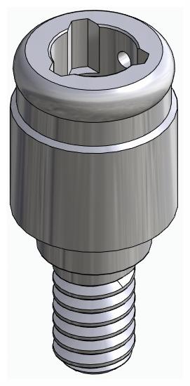 BIONIKA NO, Locator abutment, straight