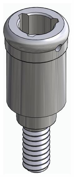 BIONIKA NO, Locator abutment, straight