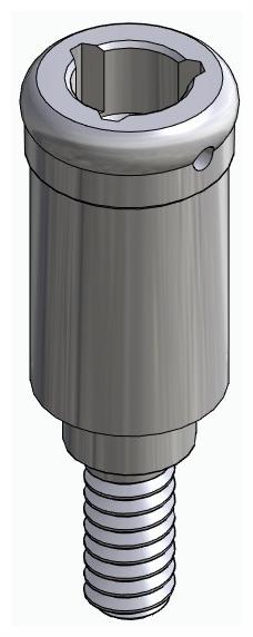 BIONIKA NO, Locator abutment, straight