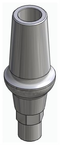 BIONIKA DT2, Anatomic abutment, straight, positioned