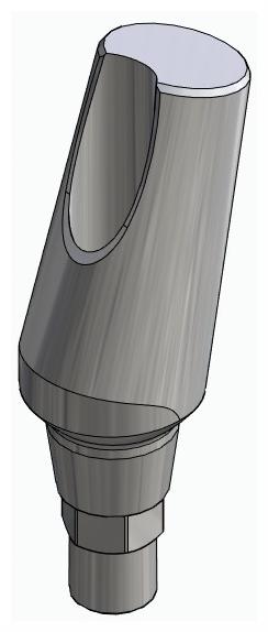 BIONIKA DT2, Universal abutment, angled, positioned, type-B