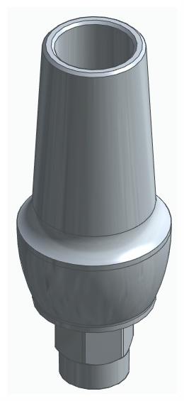 BIONIKA FP, Anatomic abutment, straight, positioned