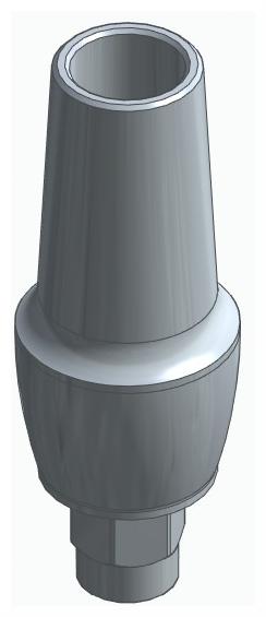 BIONIKA FP, Anatomic abutment, straight, positioned