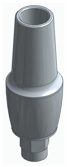 BIONIKA FP, Anatomic abutment, straight, positioned