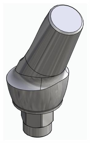 BIONIKA FP, Anatomic abutment, angled, 25°, positioned, type-A