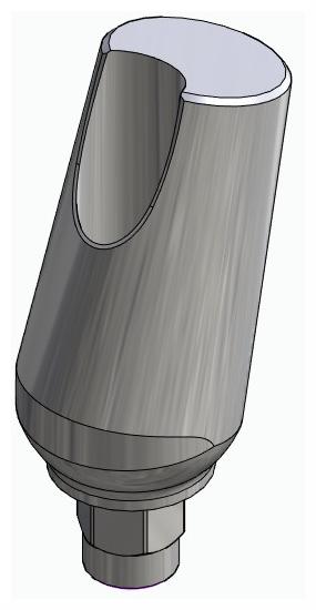 BIONIKA FP, Universal abutment, angled, positioned, type-B