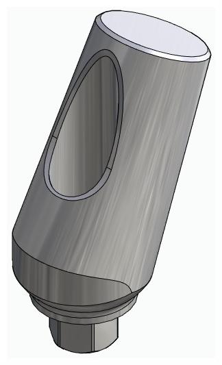 BIONIKA FP, Universal abutment, angled, positioned, type-B