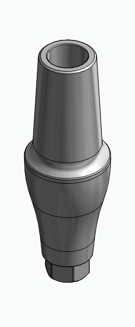 BIONIKA MG, Anatomic abutment, straight, positioned