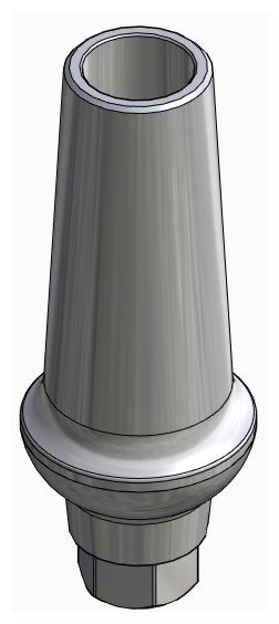 BIONIKA MG, Anatomic abutment, straight, positioned
