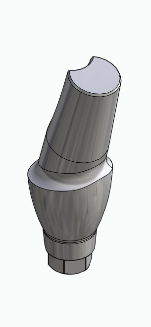 BIONIKA MG, Anatomic abutment, angled, 15°, positioned, type-B