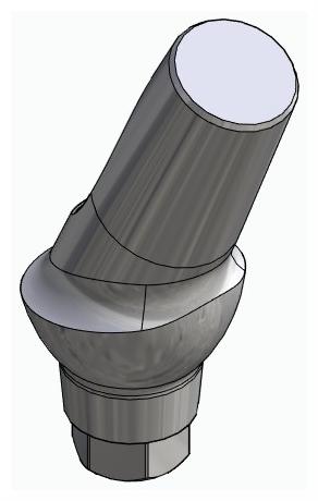 BIONIKA MG, Anatomic abutment, angled, 25°, positioned, type-B