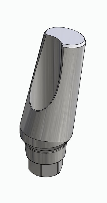 BIONIKA MG, Narrow abutment, angled, positioned, type-A