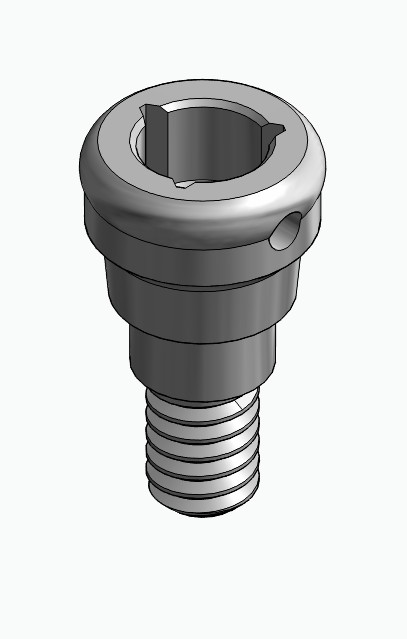 BIONIKA MG, Locator abutment, straight
