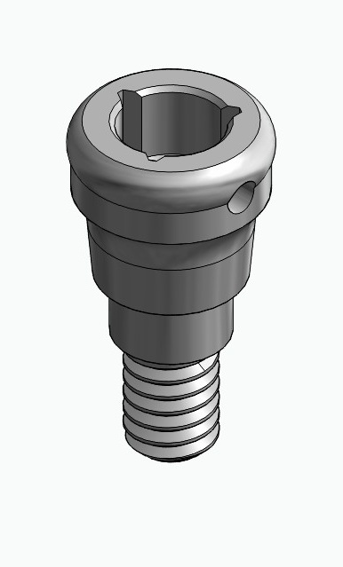 BIONIKA MG, Locator abutment, straight