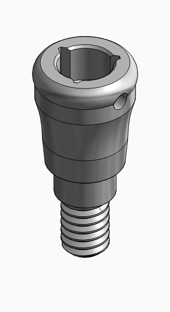 BIONIKA MG, Locator abutment, straight