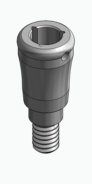 BIONIKA MG, Locator abutment, straight