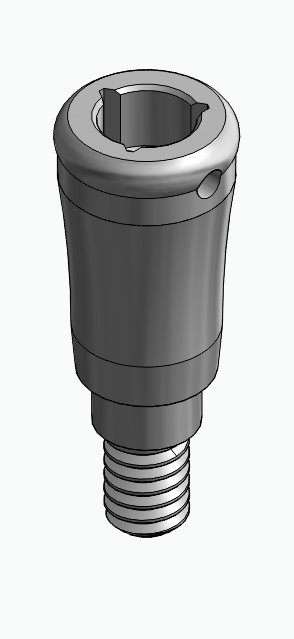 BIONIKA MG, Locator abutment, straight