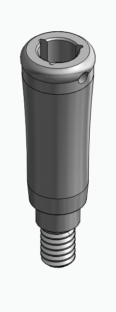 BIONIKA MG, Locator abutment, straight