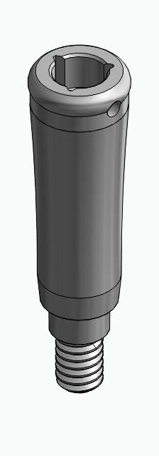 BIONIKA MG, Locator abutment, straight