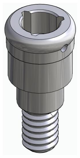BIONIKA AT, Locator abutment, straight