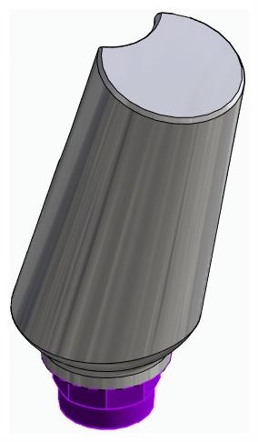 BIONIKA AT, Universal abutment, angled, positioned, type-B