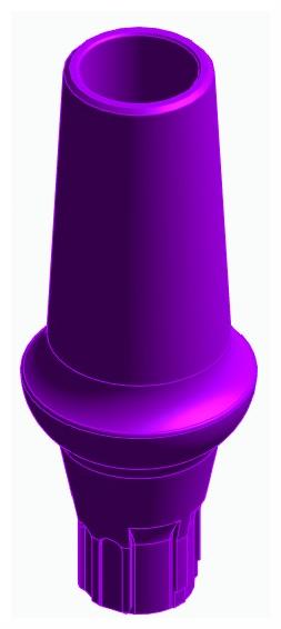 BIONIKA AE, Anatomic abutment, straight, positioned