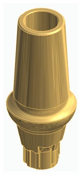 BIONIKA AE, Anatomic abutment, straight, positioned