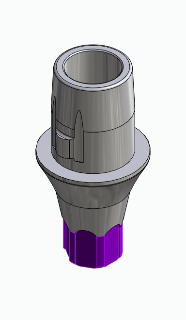BIONIKA AE, Titanium base, positioned