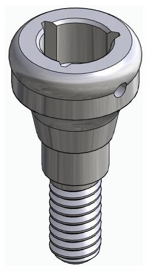 BIONIKA SGD, Locator abutment, straight
