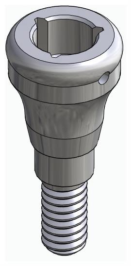 BIONIKA SGD, Locator abutment, straight