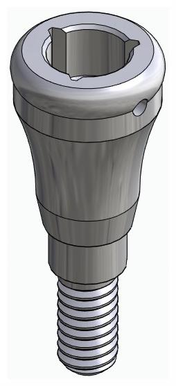 BIONIKA SGD, Locator abutment, straight