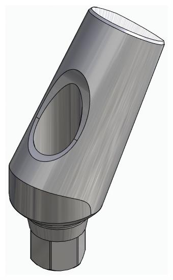 BIONIKA SGD, Universal abutment, angled, positioned, type-A