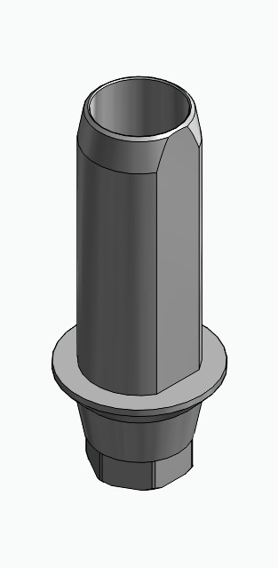 BIONIKA MO, Tubular abutment, positioned