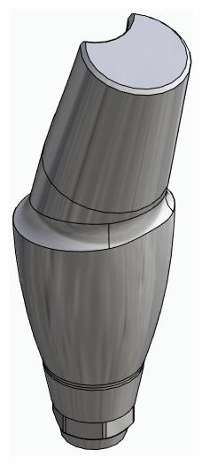 BIONIKA DENTUM, Anatomic abutment, angled, 15°, positioned, type-A