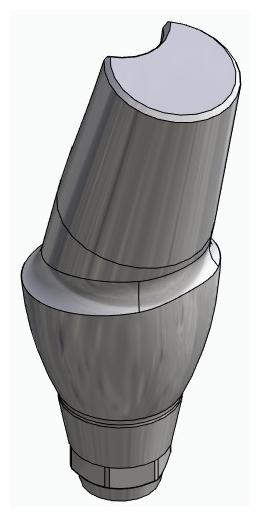 BIONIKA DENTUM, Anatomic abutment, angled, 15°, positioned, type-B