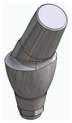 BIONIKA DENTUM, Anatomic abutment, angled, 25°, positioned, type-A