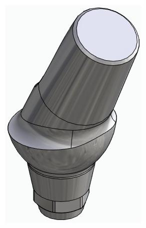 BIONIKA DENTUM, Anatomic abutment, angled, 25°, positioned, type-B