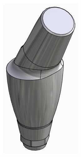 BIONIKA DENTUM, Anatomic abutment, angled, 25°, positioned, type-B