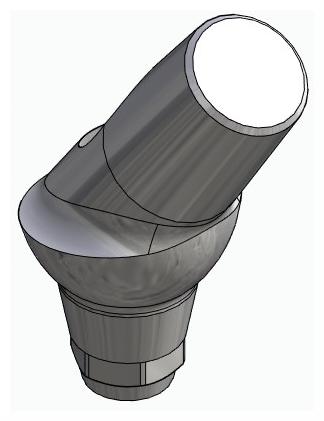BIONIKA DENTUM, Anatomic abutment, angled, 35°, positioned, type-A