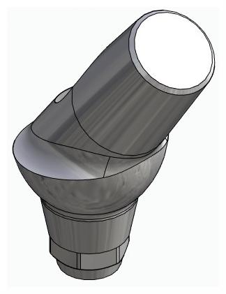 BIONIKA DENTUM, Anatomic abutment, angled, 35°, positioned, type-B